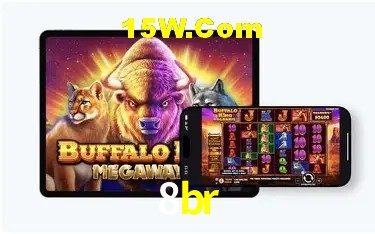 Sistemas de Segurança 8br