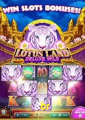 Estatísticas Esportivas 8br